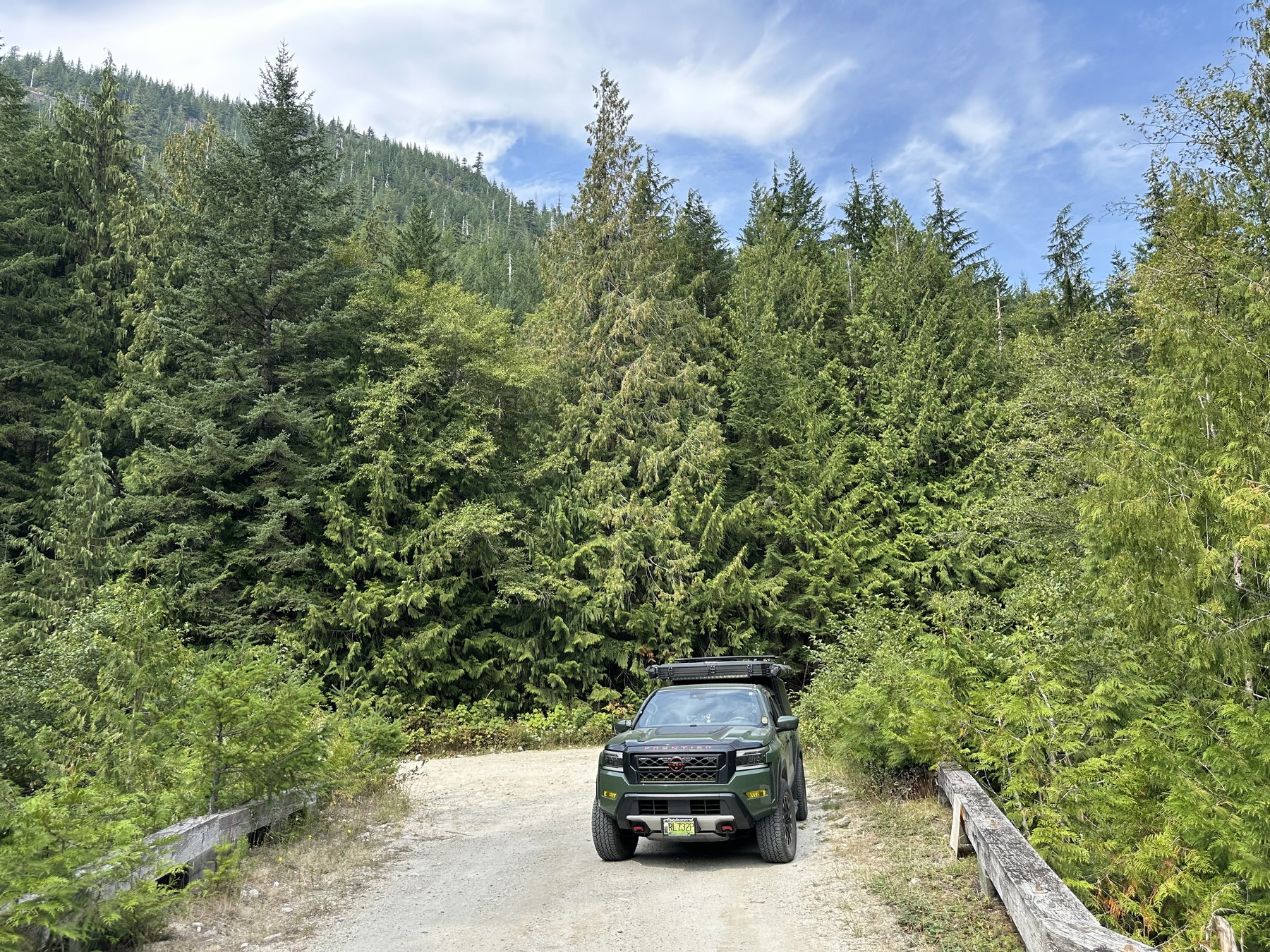 Frontier crossing a narrow forest bridge