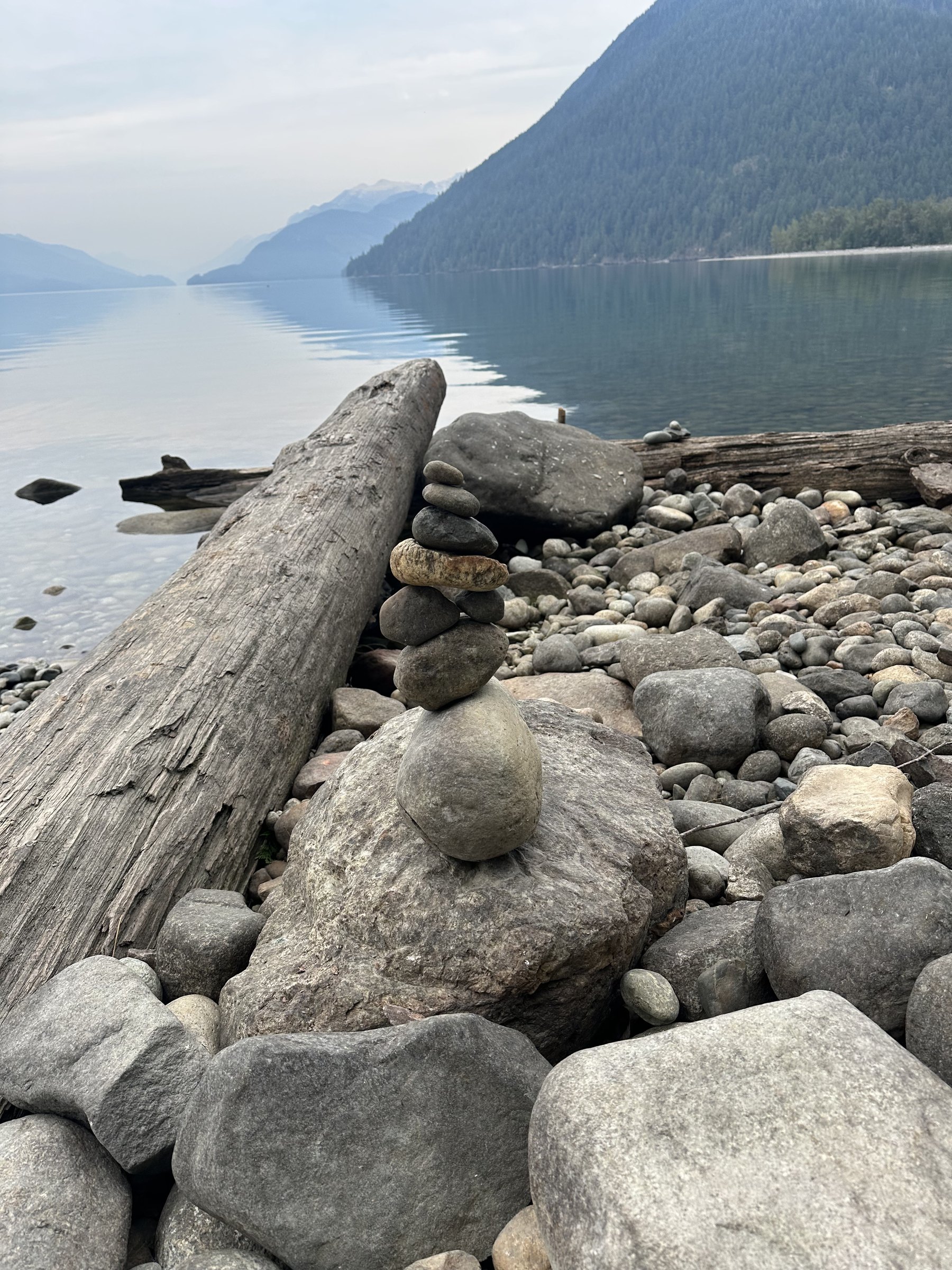 Rocky shoreline and driftwood